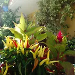 Casa Di Maura Appartement *