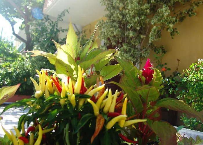 Casa Di Maura דירה *